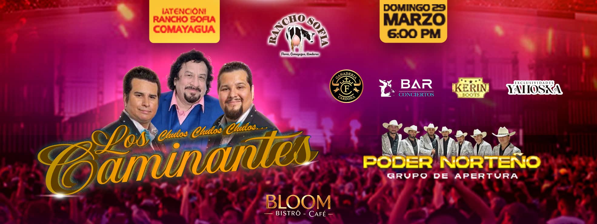 LOS CAMINANTES COMAYAGUA